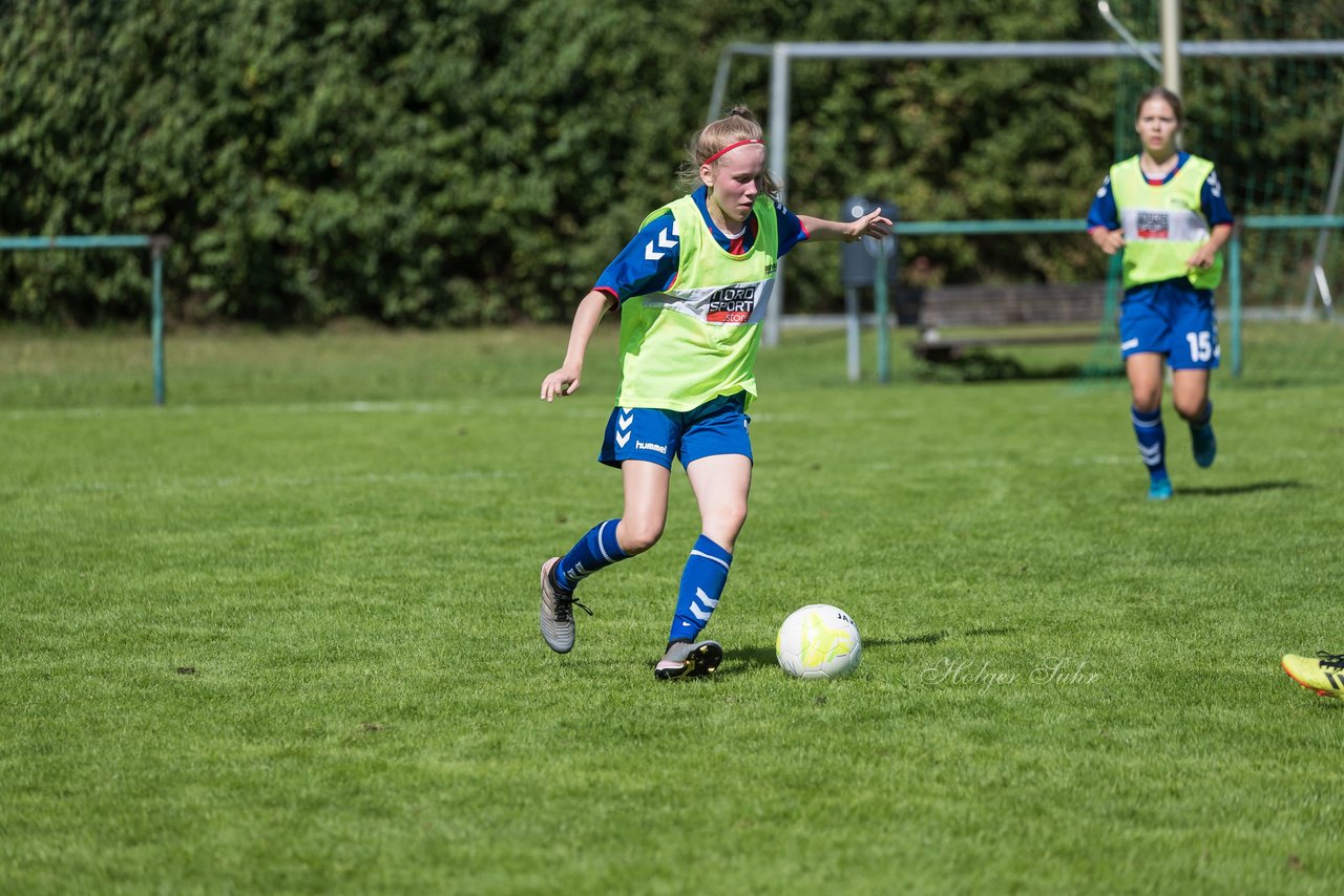 Bild 184 - B-Juniorinnen VfL Pinneberg - HSV : Ergebnis: 1:4